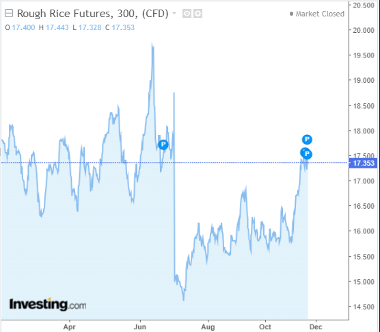 الرسم البياني لأسعار الأرز