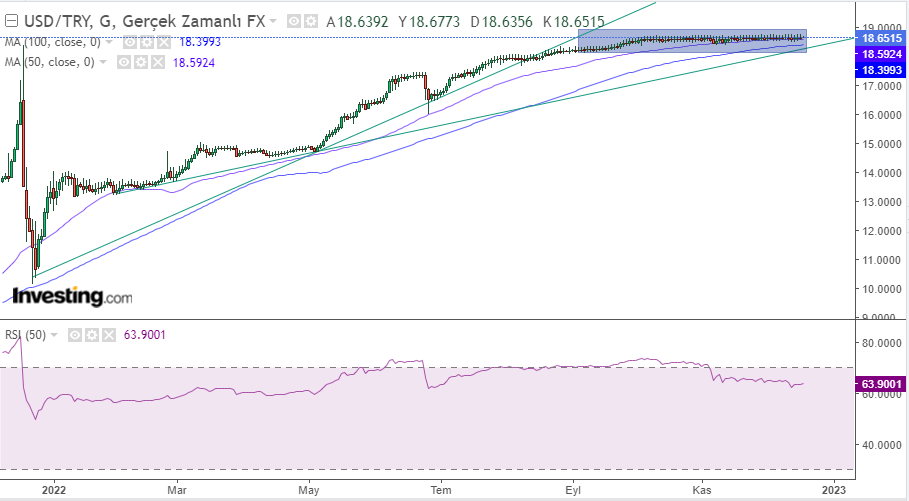 USD/TL  19 ديسمبر