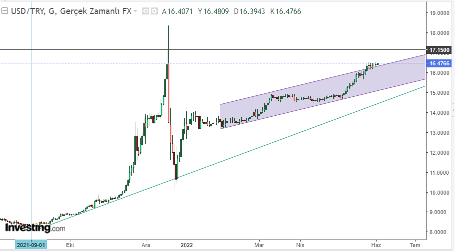 USD/TL  2 يونيو