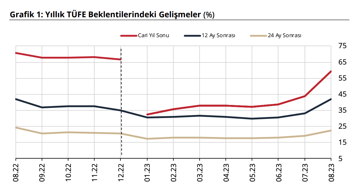 توقعات مؤشر أسعار المستهلك (المصدر: البنك المركزي التركي)