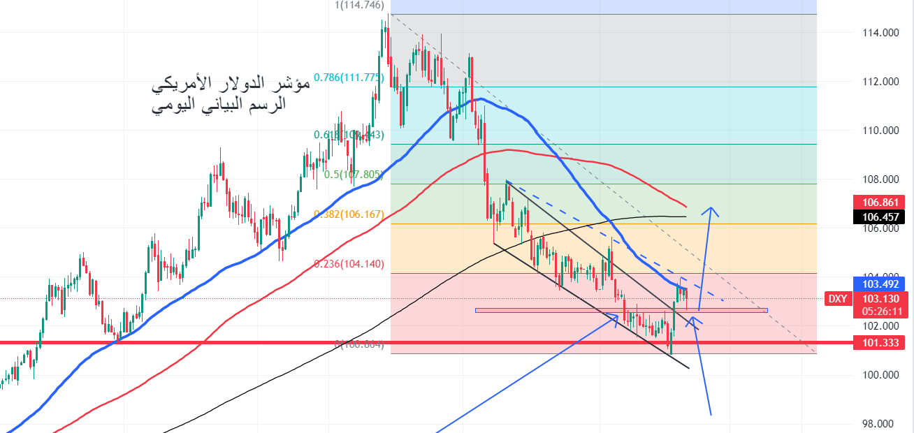 الدولار الامريكي