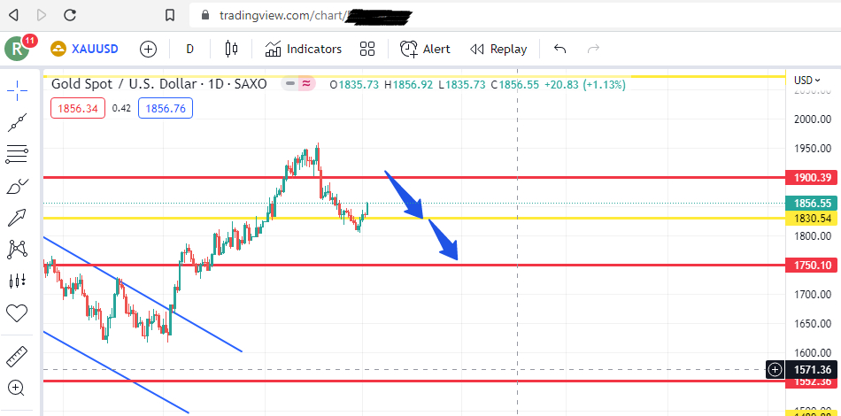 Daily gold chart 2