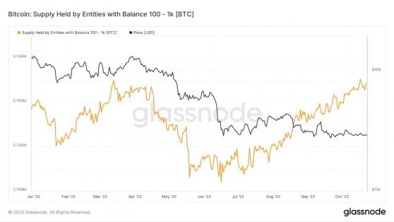 يوقف مستثمرو البيتكوين الصغار الحيتان من دفع سعر BTC للانهيار إلى أقل من 18 ألف دولار