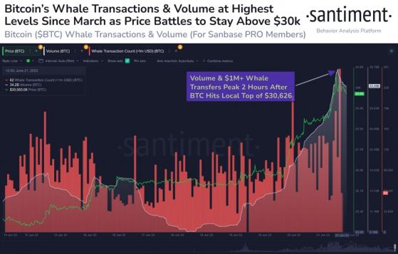 انفجار حجم معاملات حيتان البيتكوين مع تجاوز سعر BTC مستوى 30,000 دولار