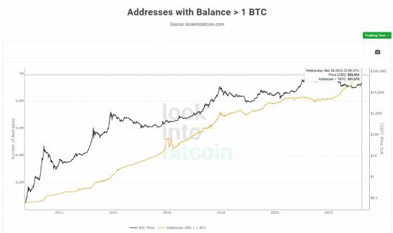 ما يقرب من مليون عنوان من عناوين بلوكشين البيتكوين تمتلك الآن أكثر من 1 BTC